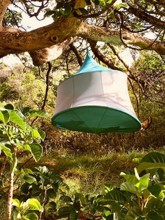 TreePod